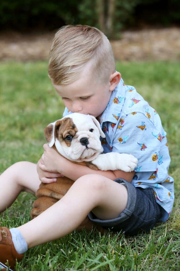 boy with his puppy